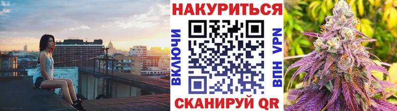 Марихуана сатива Грайворон